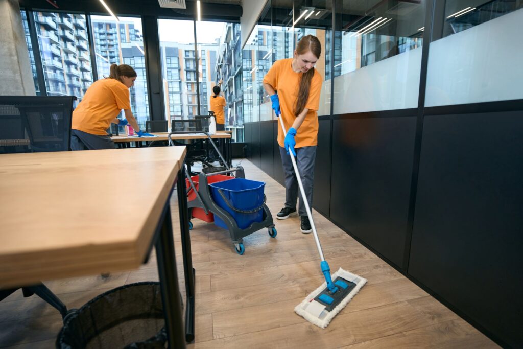 Regular Cleaning Services