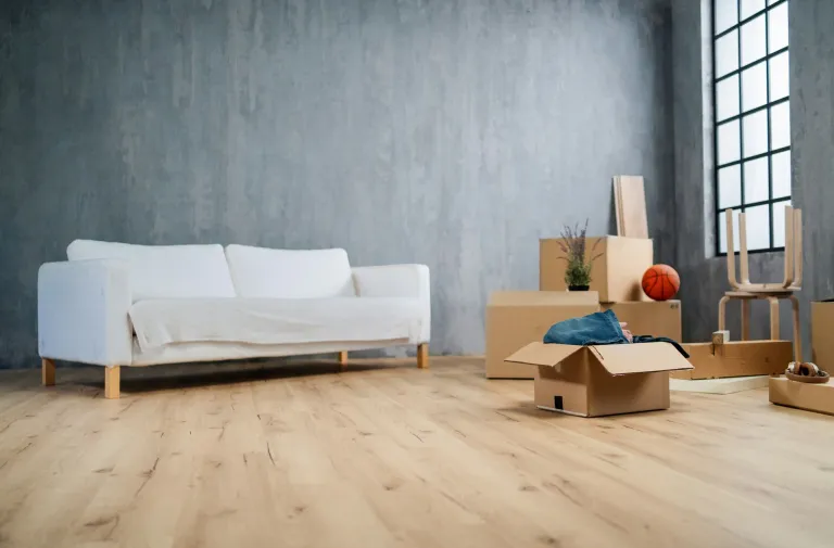 Cleaning and Moving Services