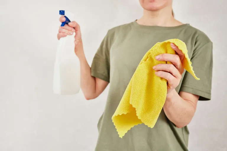 Deep Cleaning Methods for Fighting Mold in Sugar Land Households