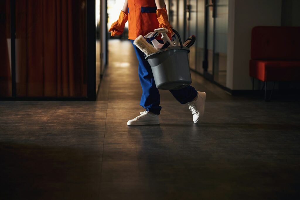 Professional Cleaners