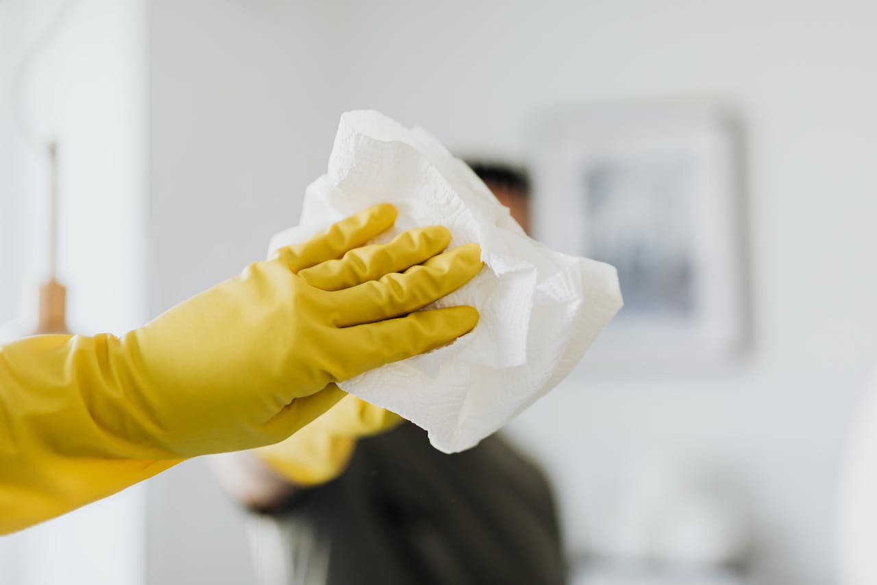 Maid Cleaning