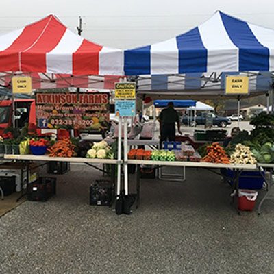 Farmers market stall with red and blue striped canopies, displaying various vegetables like carrots, cauliflower, and cabbage. A sign reads "Atkinson Farms, Home Grown Vegetables.